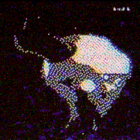 martian_vhs: 77