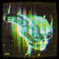 martian_vhs: 35